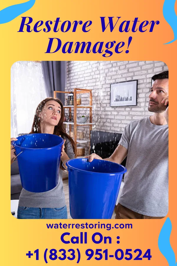 water restoration Expert Recovery Services Woods Hole